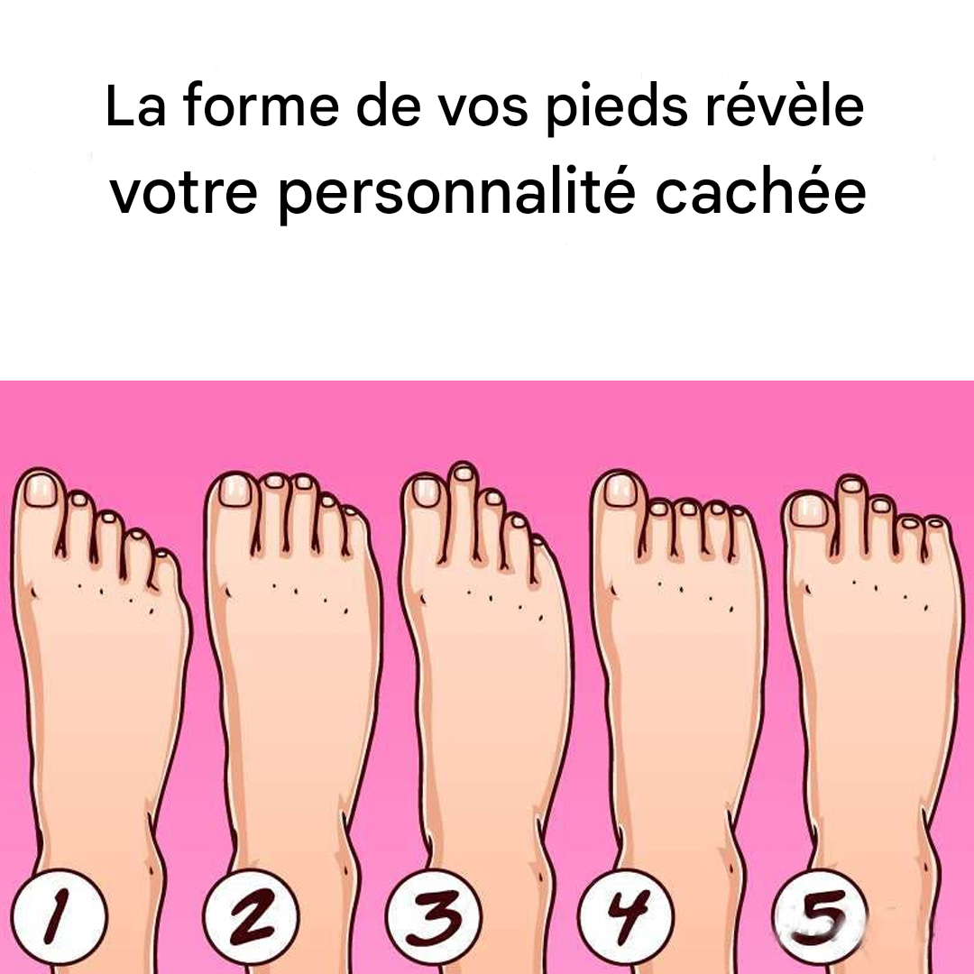 Translated image hu 2026 02 20T224409.740