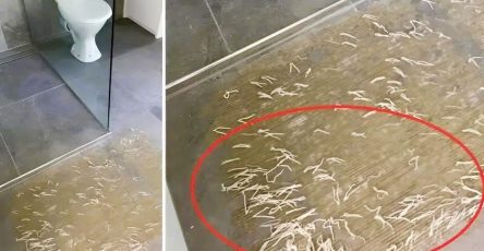 Une decouverte etrange dans la salle de bain