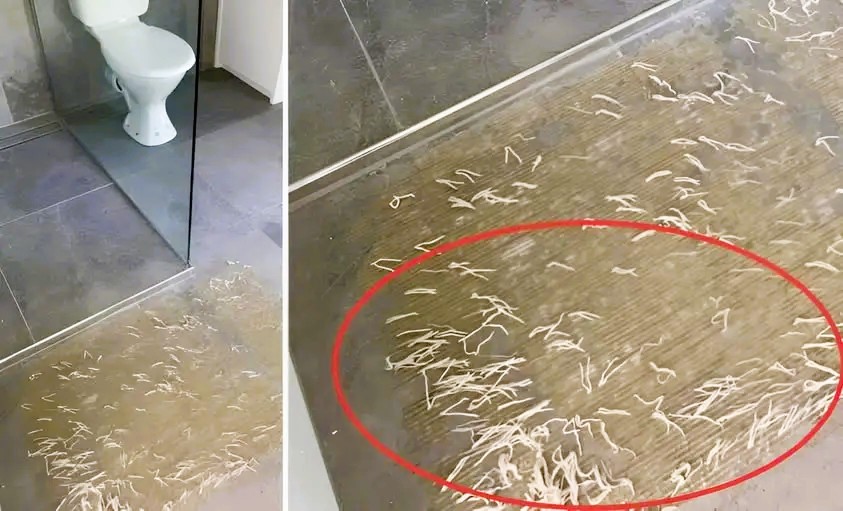 Une decouverte etrange dans la salle de bain