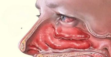 0087b8b4 ddd9 4bf5 aa76 7f1b691cb83a