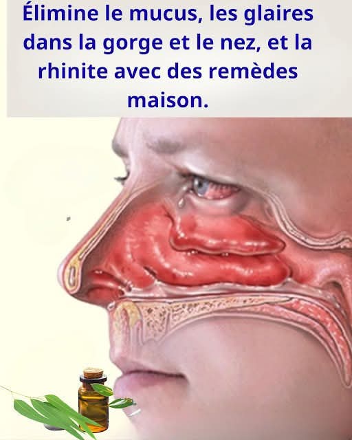 0087b8b4 ddd9 4bf5 aa76 7f1b691cb83a