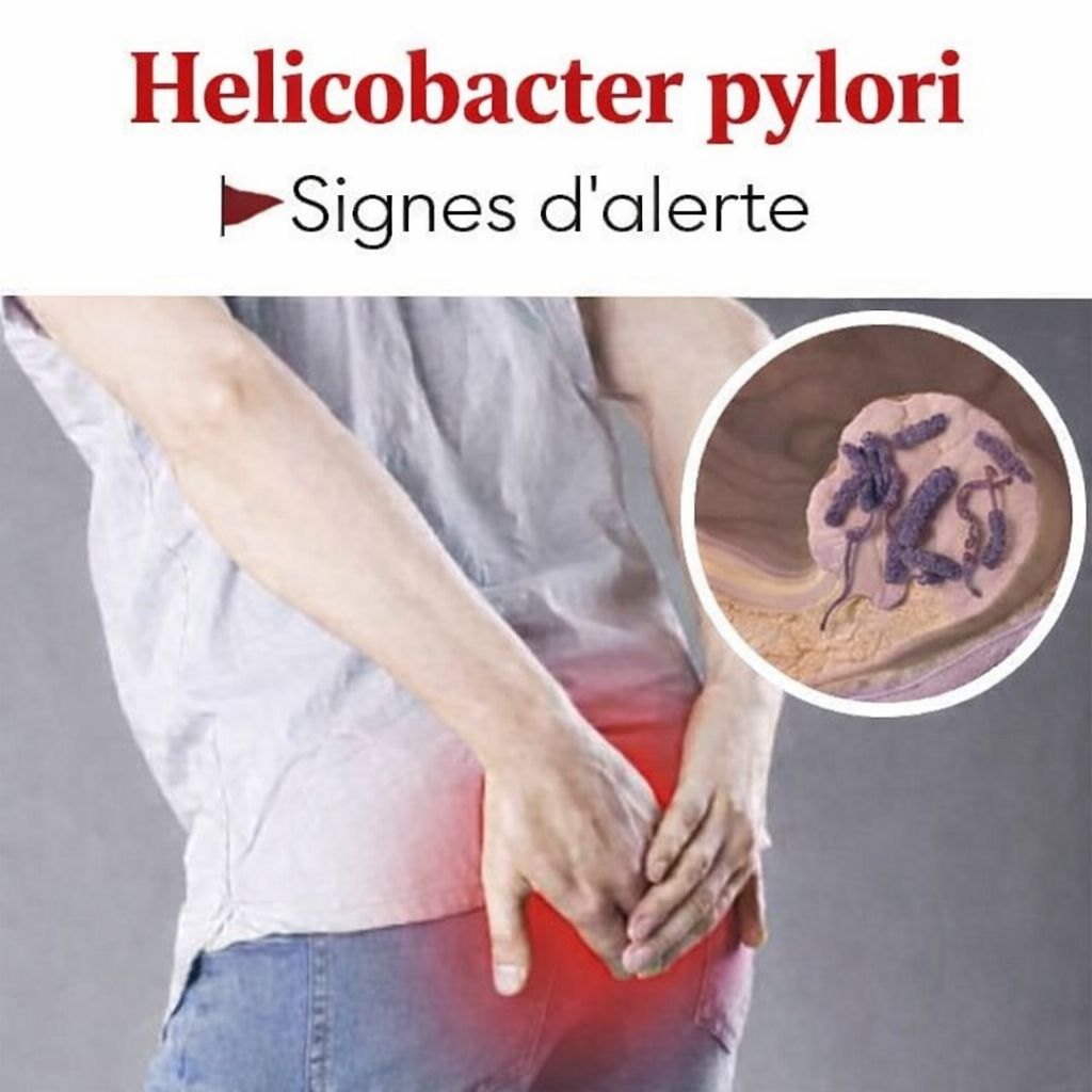 28c95f8b c847 4e2c bf10 d1cbb26b462d