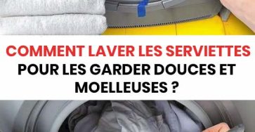 481082277 1045218424309399 2352230987612224999 n