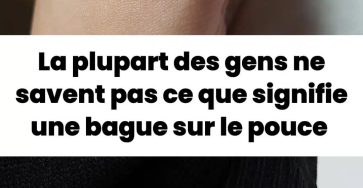 484445994 561278083631808 3819400393525717370 n