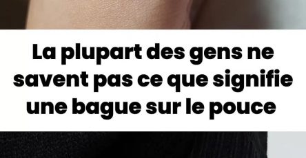 484445994 561278083631808 3819400393525717370 n