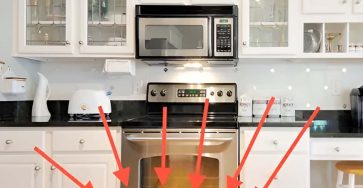 486481573 1064408072390434 7414482516719178468 n