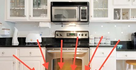 486481573 1064408072390434 7414482516719178468 n