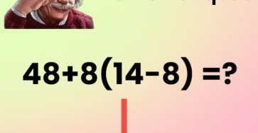 486524308 1064396702391571 7106206364783477804 n