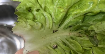 497897143 122162219678461687 9075455682509887876 n