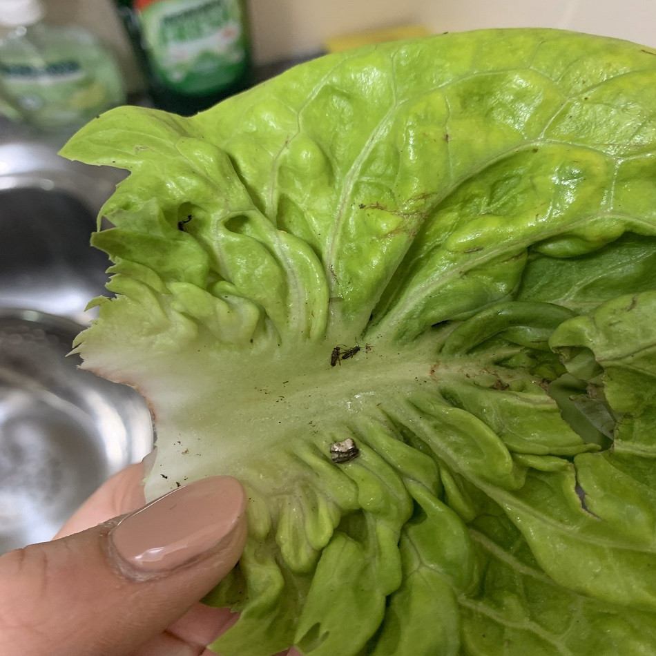 497897143 122162219678461687 9075455682509887876 n