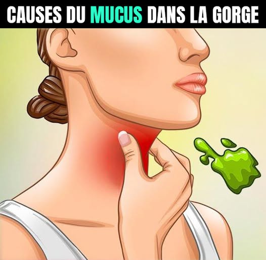 518378161 122289850550007020 7814346307526061532 n