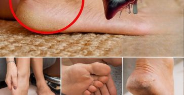 537813588 1181518480672891 4037599829454113673 n 1 1 1