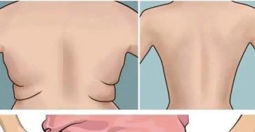 547223537 1353356962813213 7790194882318889259 n