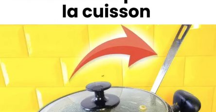 550704338 1353134493062270 7595934590270198779 n