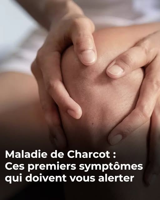 552457436 2207415246350503 6128051797851503242 n