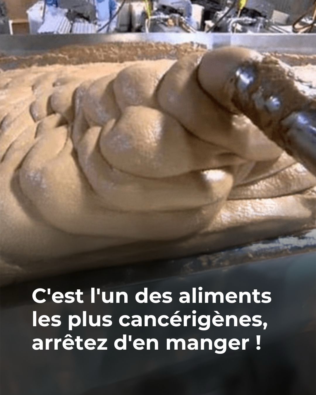 558450898 1354452602909957 7655486635861609932 n