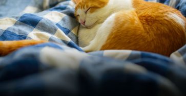 584438516 1922325035155158 5567965299772498735 n