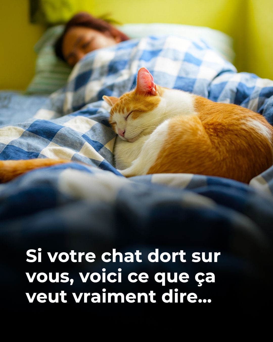 584438516 1922325035155158 5567965299772498735 n