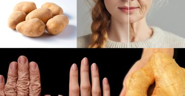 595237448 122112641589057276 5115944010271106912 n