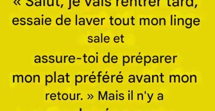597305699 122232930422102037 6141497142668323460 n