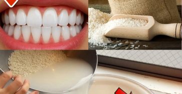 600432356 122113748763057276 479088829552335769 n