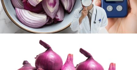 605005318 122114093679057276 8578658540406462723 n