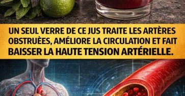 605599745 122114513307057276 8522051502806801674 n