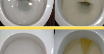 608195594 1302613308569908 5118923271126200111 n