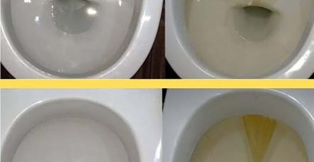 608195594 1302613308569908 5118923271126200111 n