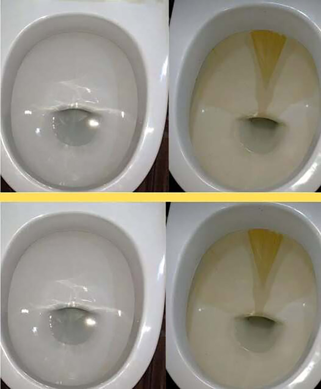 608195594 1302613308569908 5118923271126200111 n