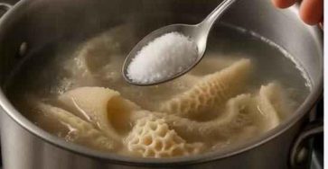 611256863 1598021678311121 8706243302694297818 n