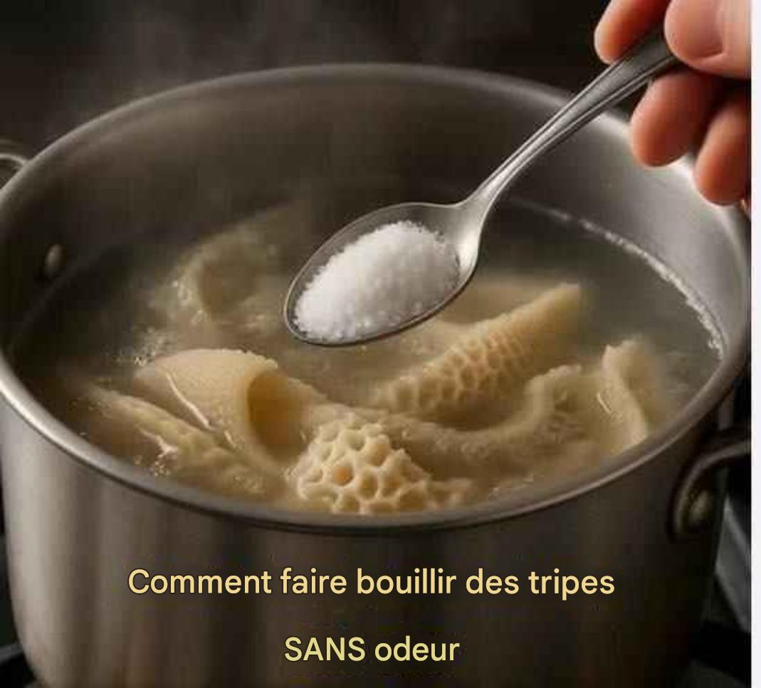 611256863 1598021678311121 8706243302694297818 n