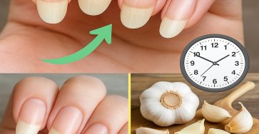 616080552 122191273886449334 4572302361527429253 n (2)