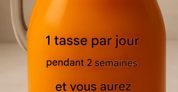 627336391 1223683216636378 2784180458365816789 n