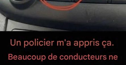 628847587 122239294388102037 5943584283918498868 n