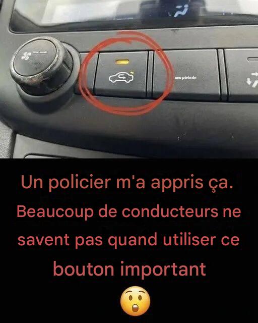 628847587 122239294388102037 5943584283918498868 n