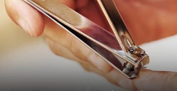 629072533 1463424671842894 2613673750370792799 n