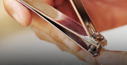 629072533 1463424671842894 2613673750370792799 n