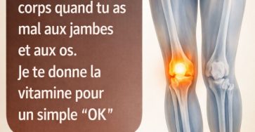 631466719 122120879301057276 1204532103695379646 n