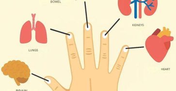 633443241 122208325082567604 8209498774398272596 n