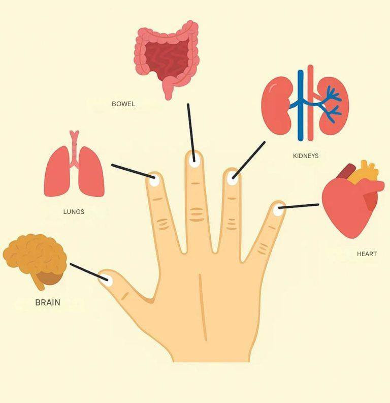 633443241 122208325082567604 8209498774398272596 n