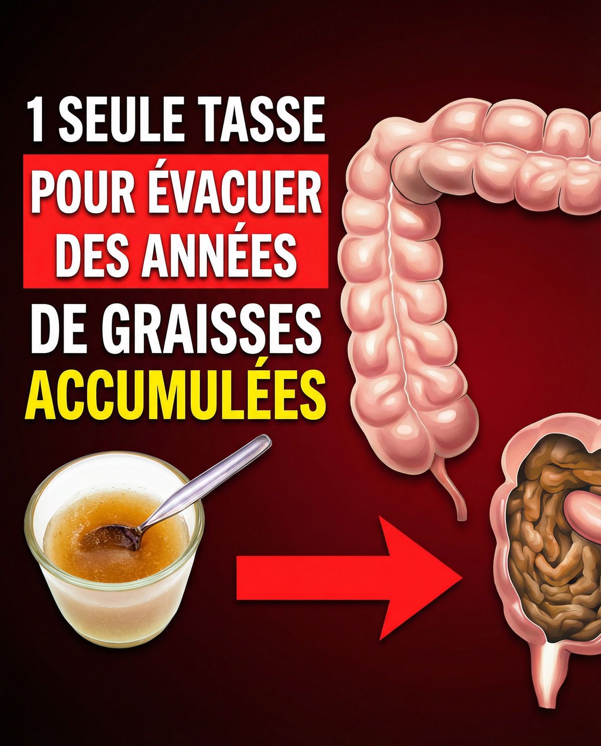 636433956 1326121149548330 6519964358032161495 n