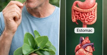 636663115 122121627657057276 3526401455664229022 n