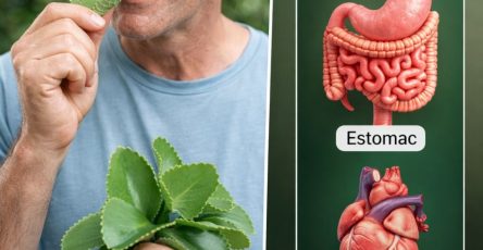 636663115 122121627657057276 3526401455664229022 n