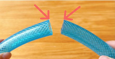 637836043 1326342379526207 1785804327005577378 n