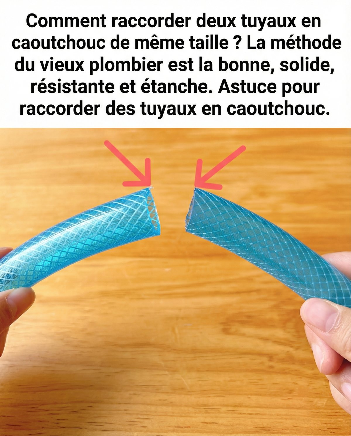 637836043 1326342379526207 1785804327005577378 n