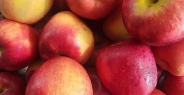 640114021 1475744473944247 6574388902812897895 n