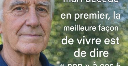 641152152 1452253349763471 2014133654846088634 n