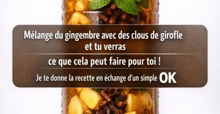 641336006 122121958035057276 4762473775459943553 n