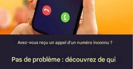 643556407 1272666068137360 1263755798460482947 n1